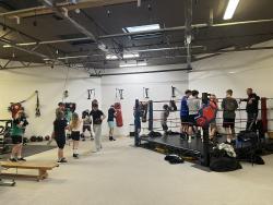 Looe Champs Boxing