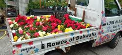 Looe in Bloom