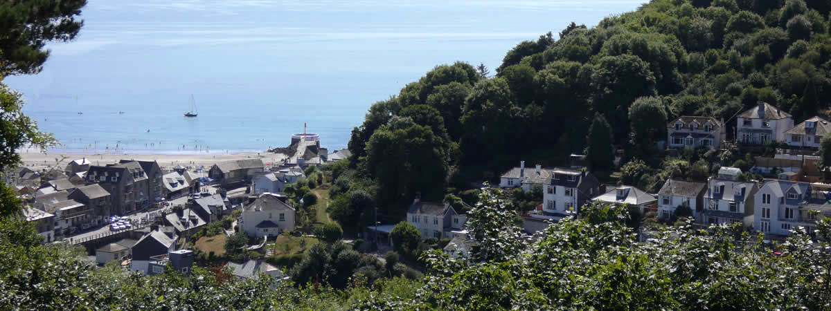 Views over West Looe from the Downs